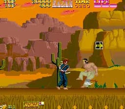 닌자 카잔